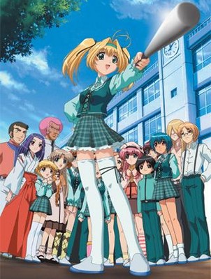 Maple Colors Thumbnail