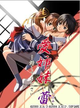 Ai Shimai Tsubomi… Kegashite Kudasai Thumbnail